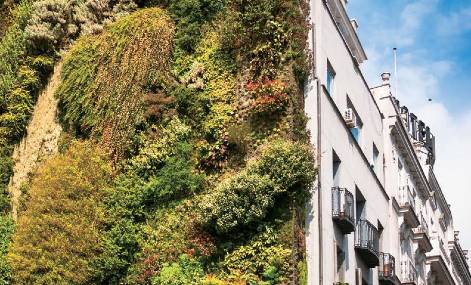 Building in Madrid with living wall