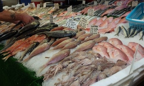 seafood displayed on ice